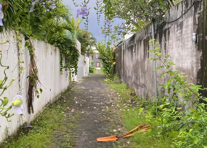 Prime Oberoi Modern 2br Instaworthy 1 Min To La Favela No Floods Walk To Eat Street 塞米亚克